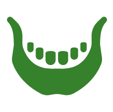 Green smile icon with teeth outline representing dental care and healthy dentistry services